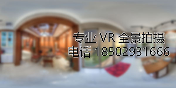 龙湖镇VR全景技术在未来可能的发展方向和应用领域?